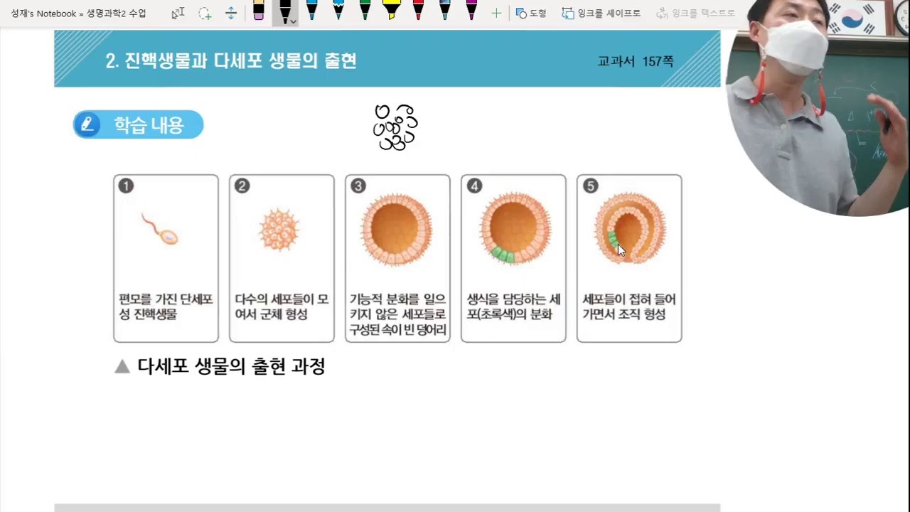 생명과학2 진핵생물과 다세포 생물의 출현