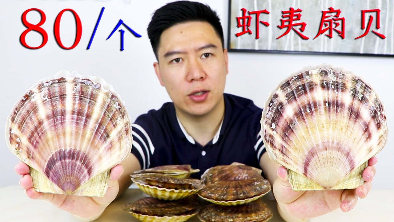 800买10个顶级大扇贝，比我脸还要大，吃一个就饱了，非常过瘾【小文哥吃吃吃】