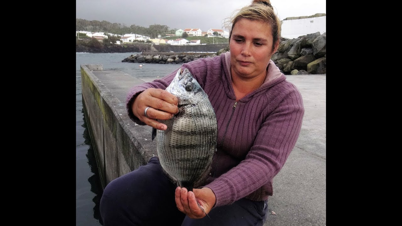 Fishing Silver / White Seabream / Pesca ao Sargo /  Pêche de sar  دنيس  الدنيس الأبيض