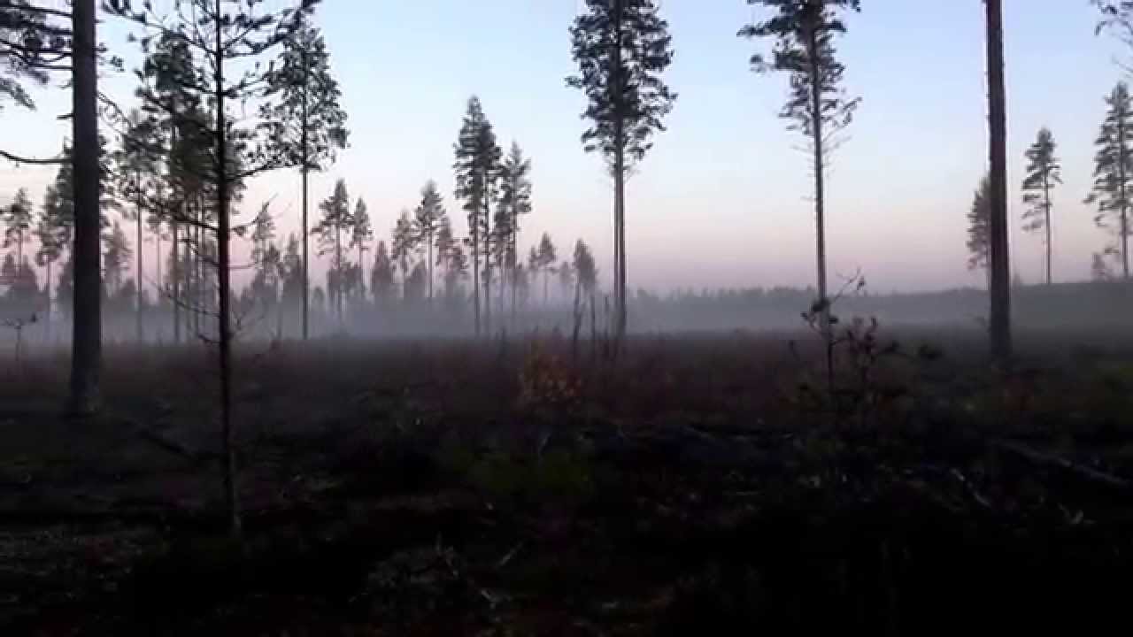 Aamun Usva Lohilahti.