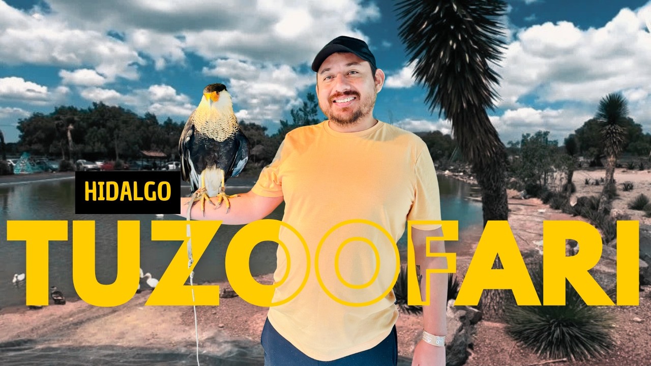 TUZOOFARI 🦒🦛🐯 | El zoologico de Hidalgo cerca de PACHUCA| |4k|