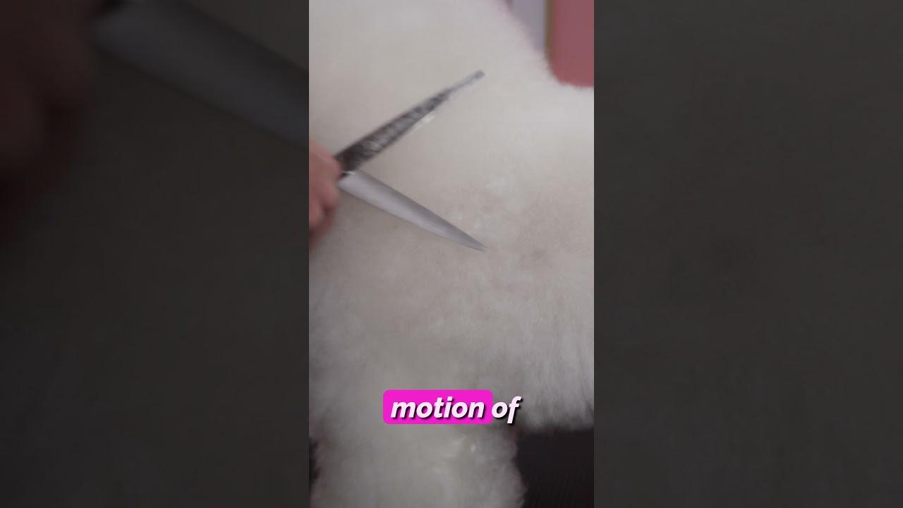 How to avoid choppy marks when using dog grooming scissors ✂️ @MelanieNewmanSalonEssentials #dogs