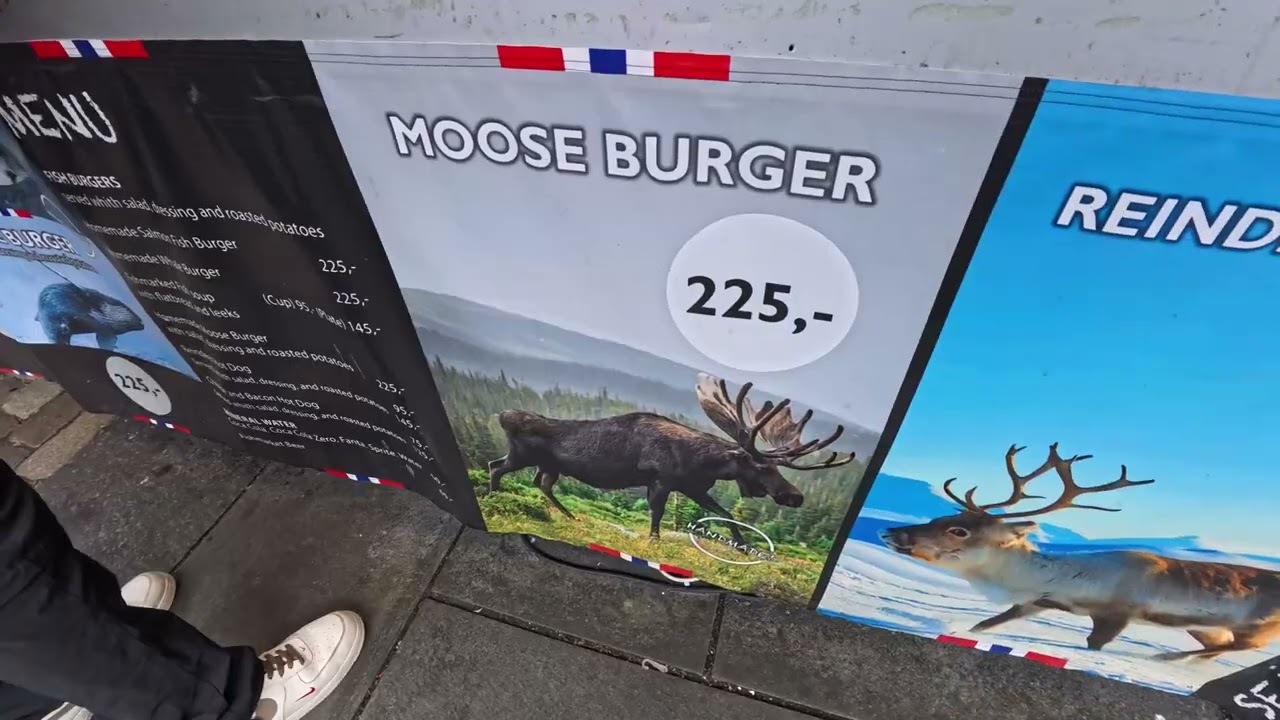 Norvég körút 4. rész