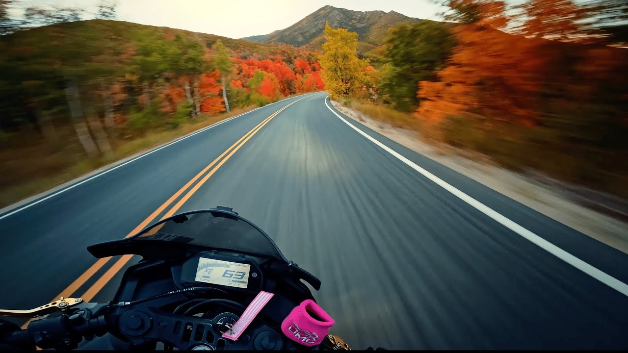 the leaves are changing, come ride with me