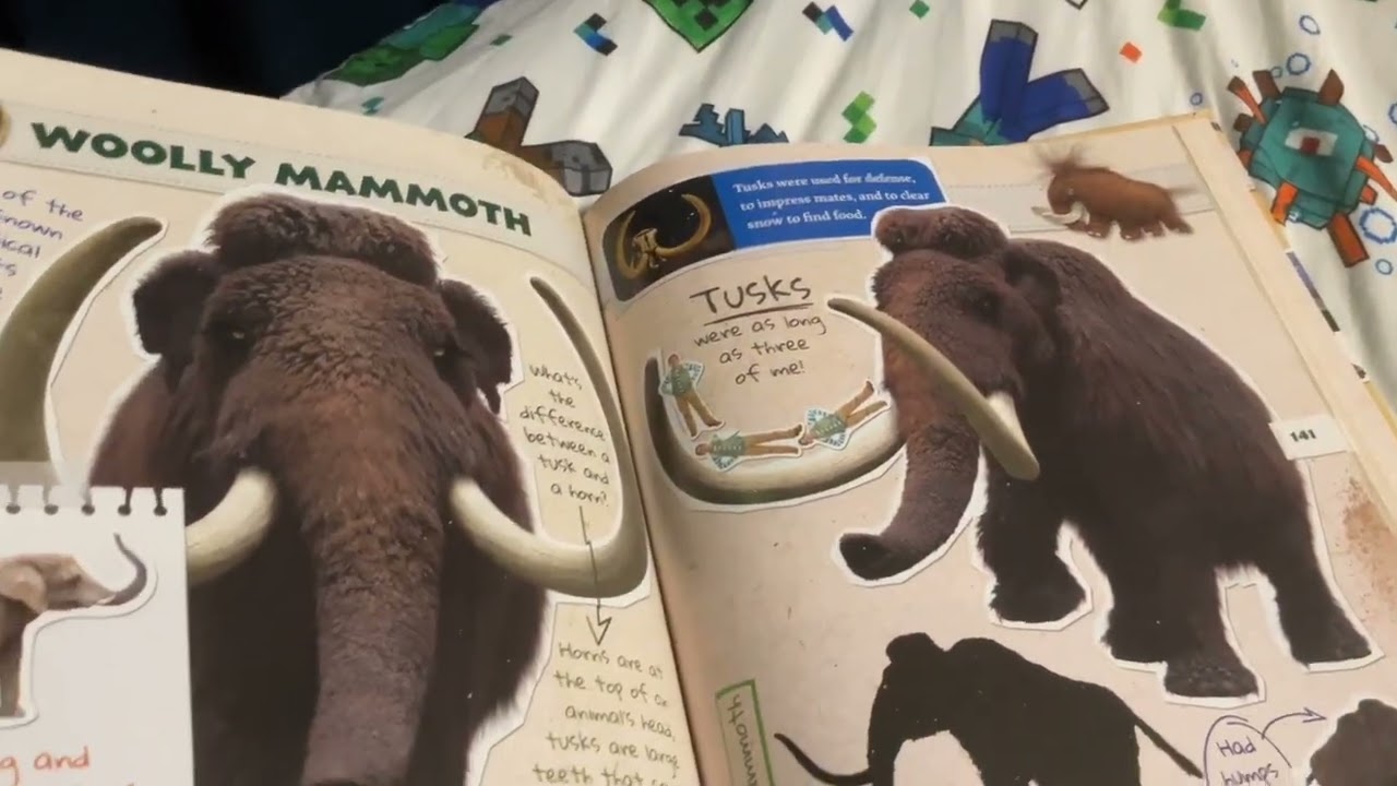 Dino Dana&rsquo;s Field guide: the woolly mammoth ￼