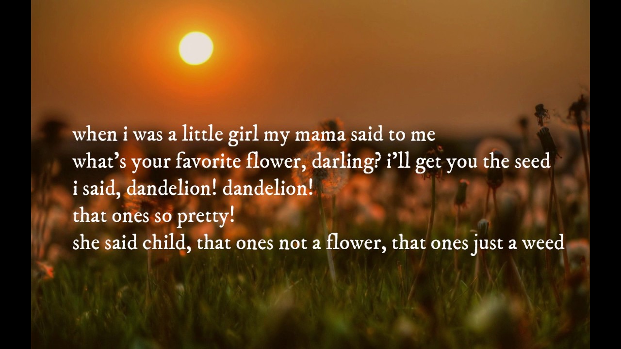Gabbie Hanna - Dandelion // Lyrics