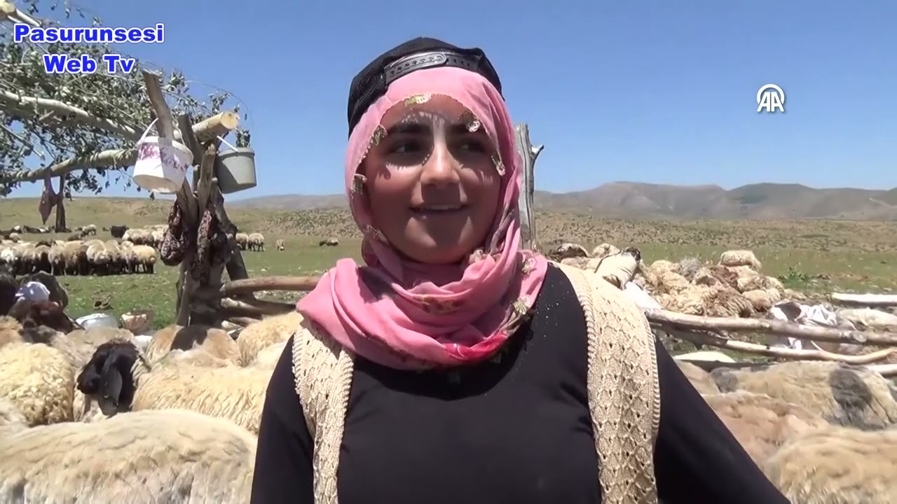 Berivanlar, hayvanları sağmak için ATV ve atlarla yaylaya çıkıyor