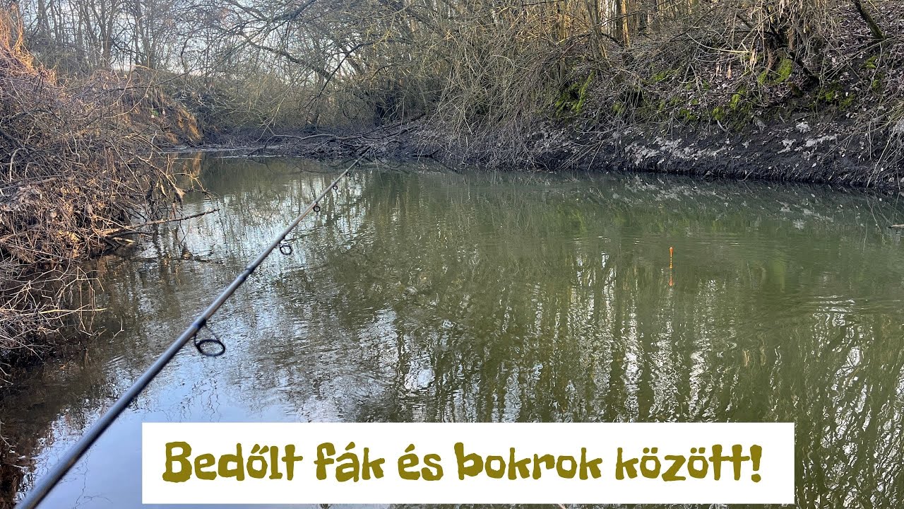 Úszózás akadók és bokrok alatt! 🐟😱