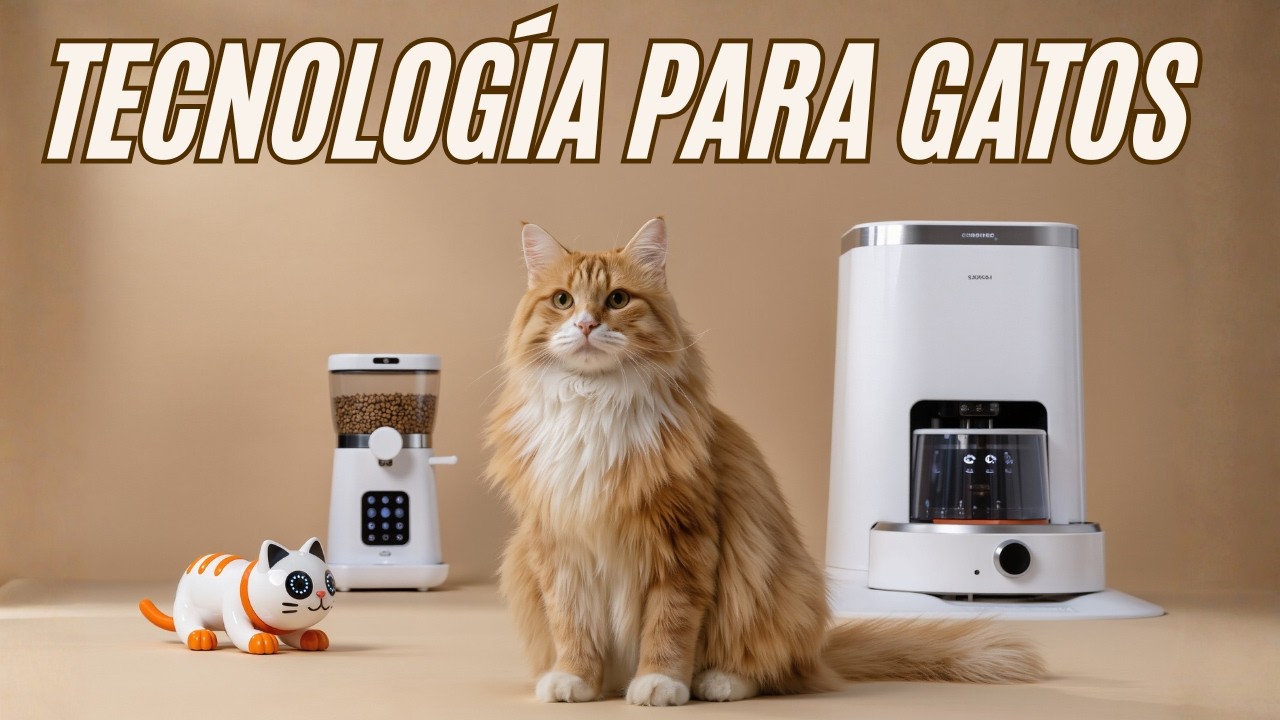 Tecnología Inteligente Para Gatos: Lo Mejor que Existe y lo que Viene
