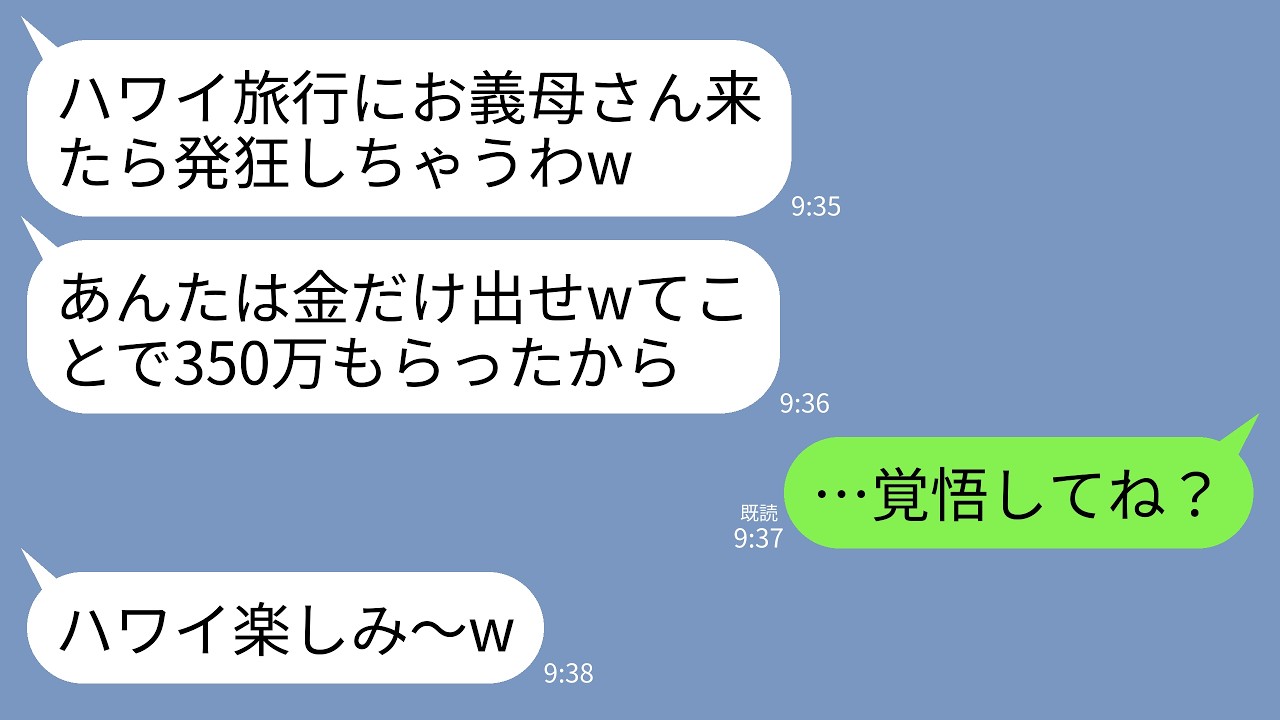 【LINE】ハワイ旅行当日、私から350万を盗み空港に置き去りした息子夫婦「ババアはただのATMw旅行に一緒に行くか」→即座に現地の予約全取消しして10倍返しで反撃した結果www