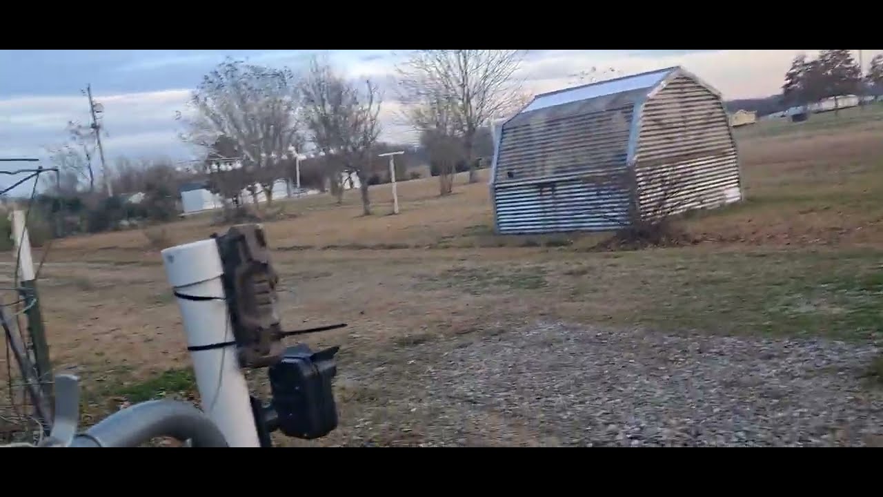 Outside looking at what i need to do around the house