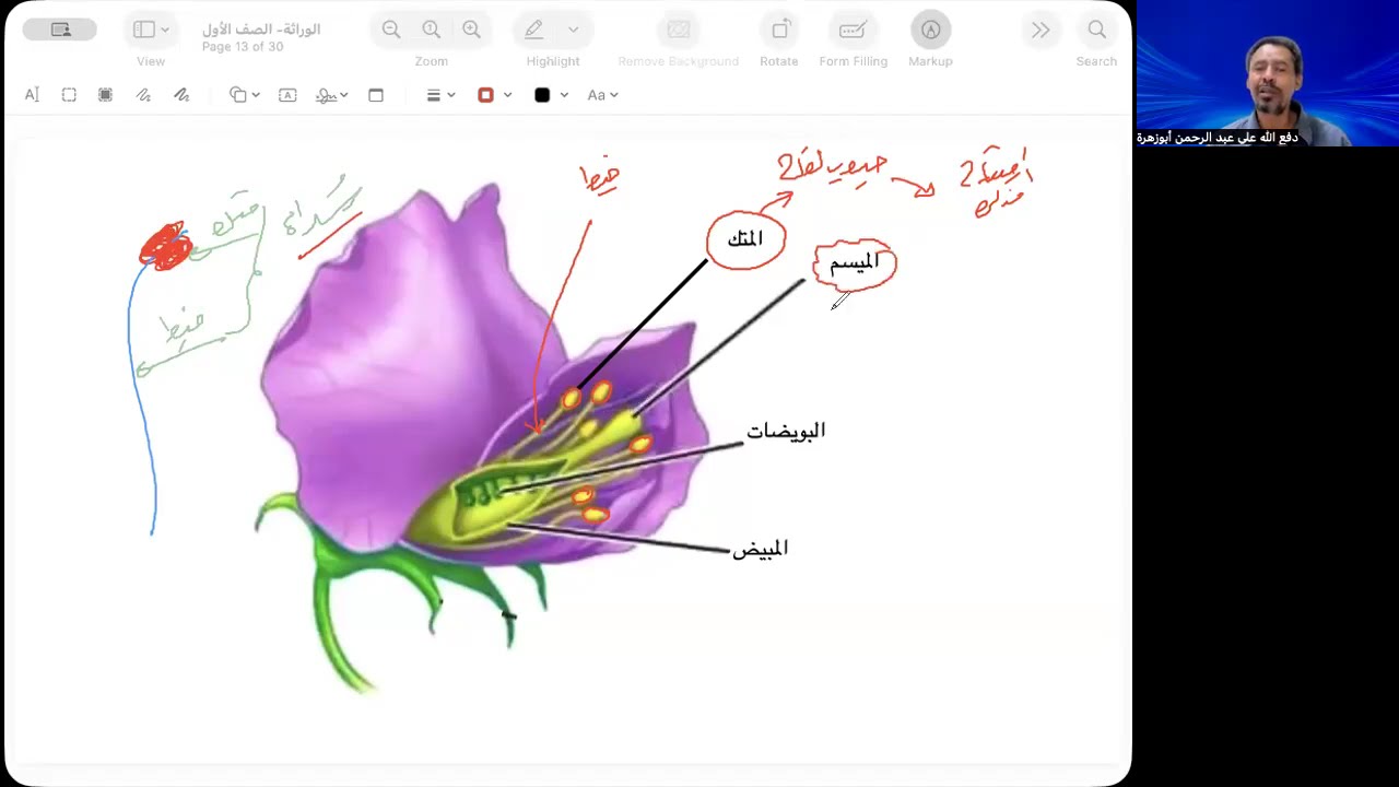 أسباب اختيار مندل لنبات البازلاء والصفات المتضادة | الصف الأول الثانوي | المنهج الجديد