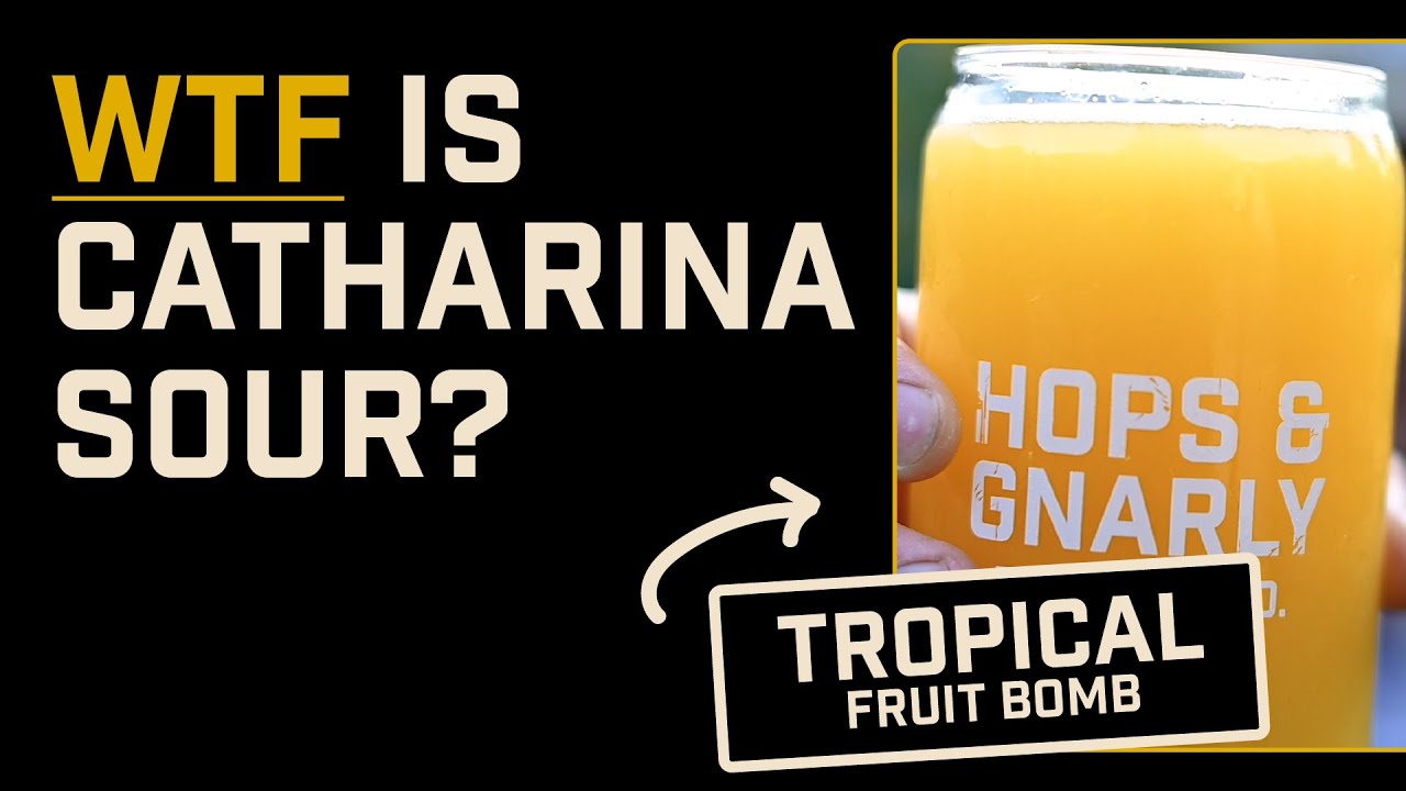 What's a Catharina Sour? | Brewtools B40 | EP 51 | Hops & Gnarly Home Brewery