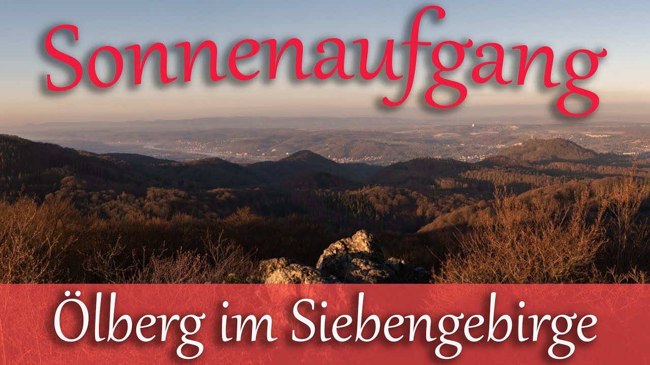 Wanderung auf den Ölberg im Siebengebirge zum Sonnenaufgang und Eidechsen am Stenzelberg