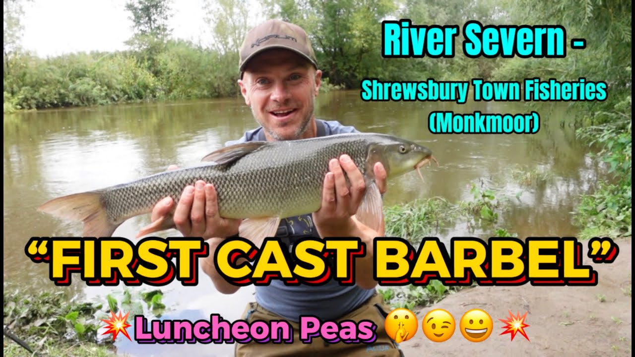 🎣 ПЕРВЫЙ ЗАБРОС усача на горошек! (Тест наживки на каперсы для ловли печенья) 😉😀💥