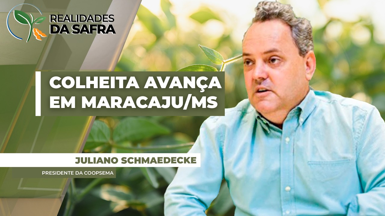 Colheita da soja avança em Maracaju/MS com produtividades entre 30 e 80 sc/ha