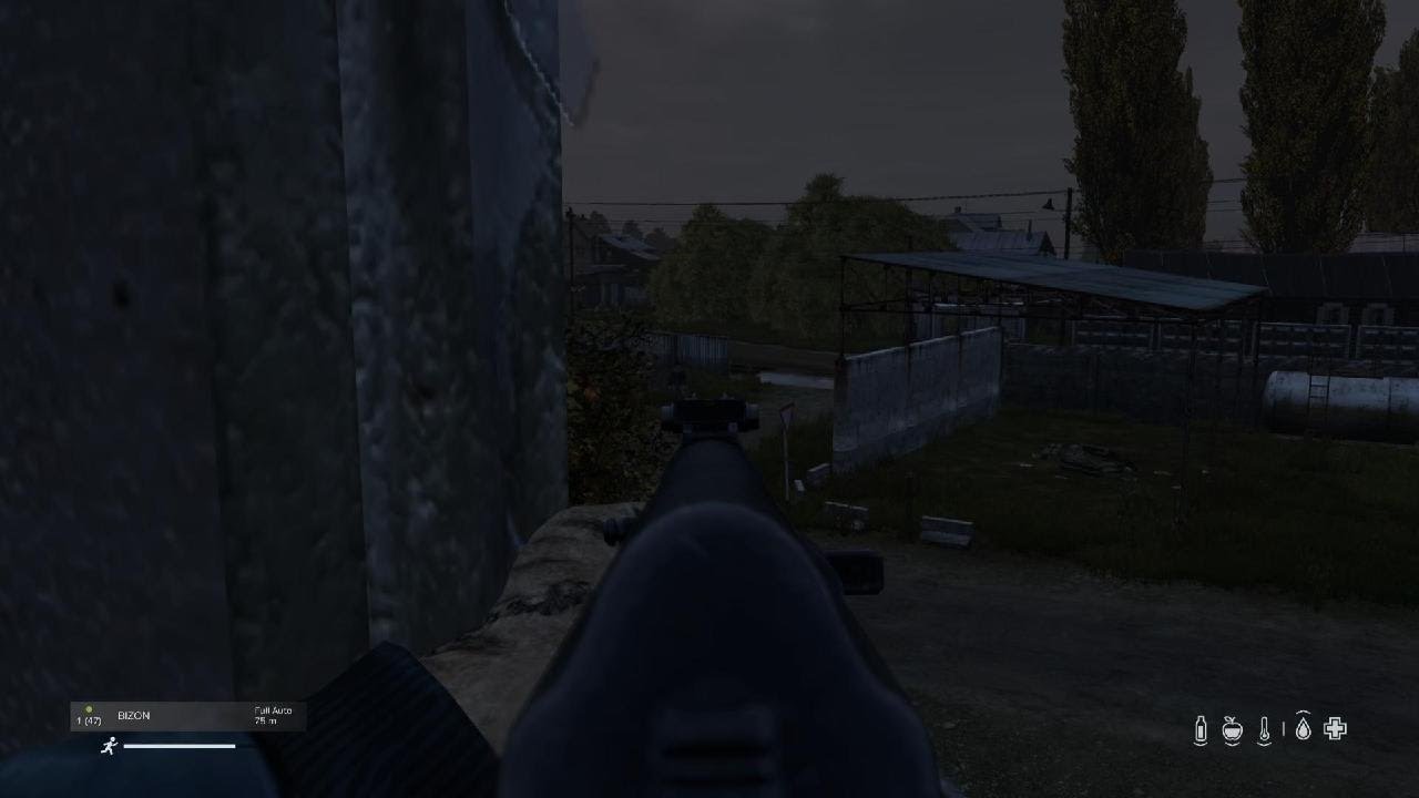 DayZ_20260223205202