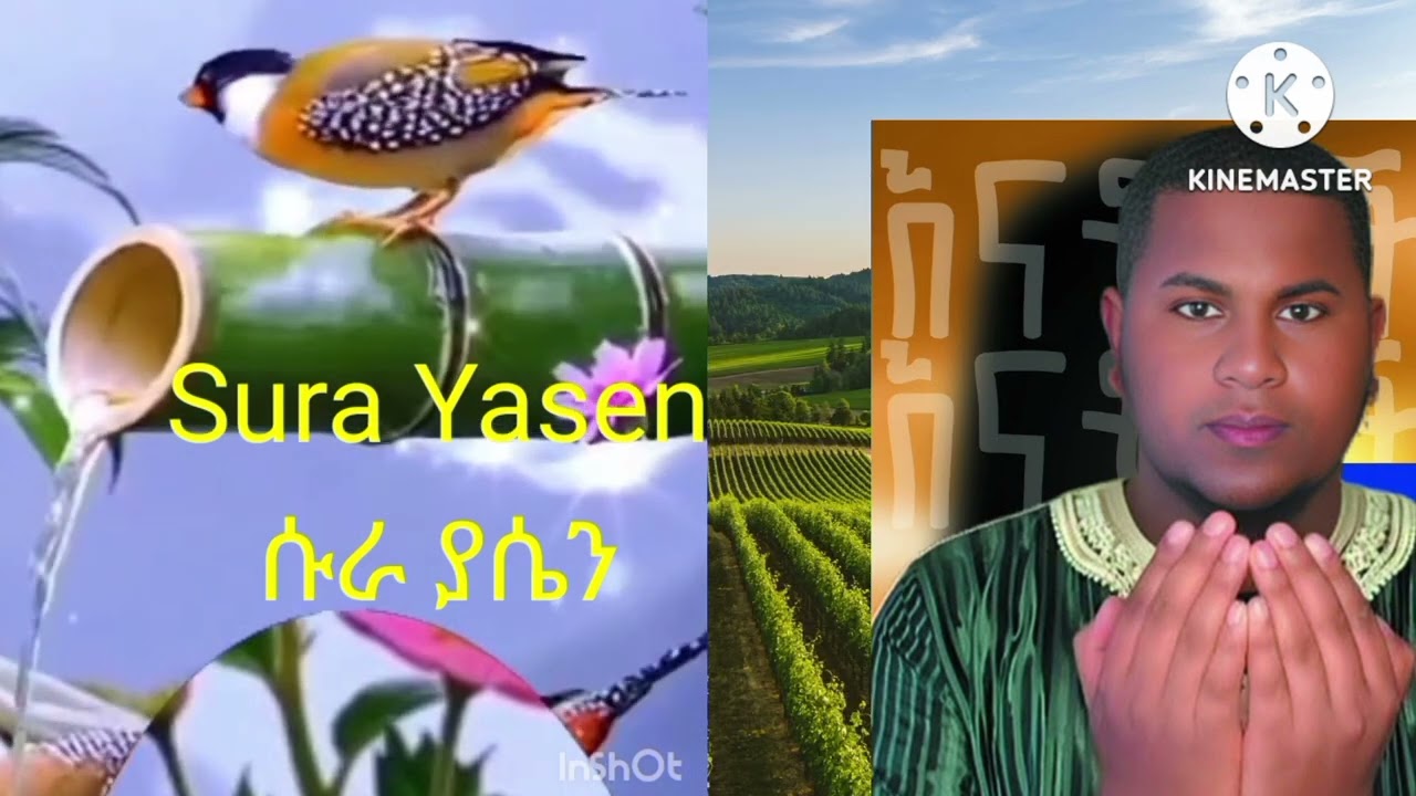 ሱረቱል ያሲን ቃሪ ተውፊቅ አልሃበሺ Suratul yasen Al qari Tawufiq al habashi