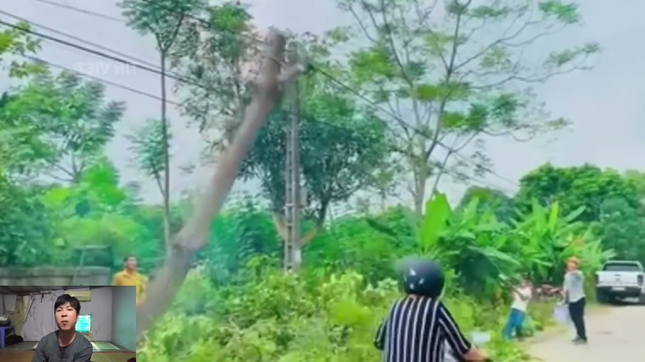 Cười xỉu với những pha hài khó đỡ. Những pha tấu hài cực mạnh 