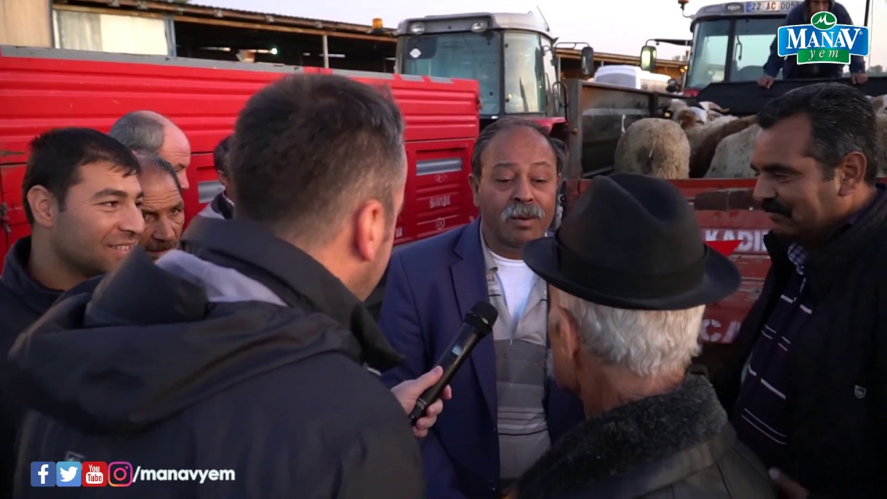 Hayvan Pazarı | Havsa Hayvan Pazarı - Edirne