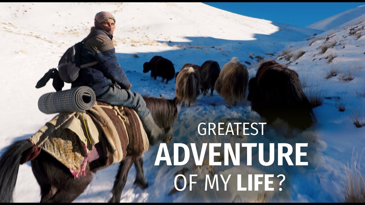 We Went Hunting for Yaks in the Mountains of Zanskar