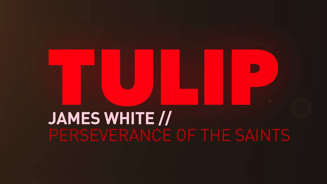 TULIP Part 5: Perseverance of the Saints with James White