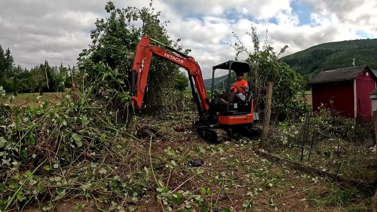 Day in the Life: Blackberry Removal Job | Landscaping POV