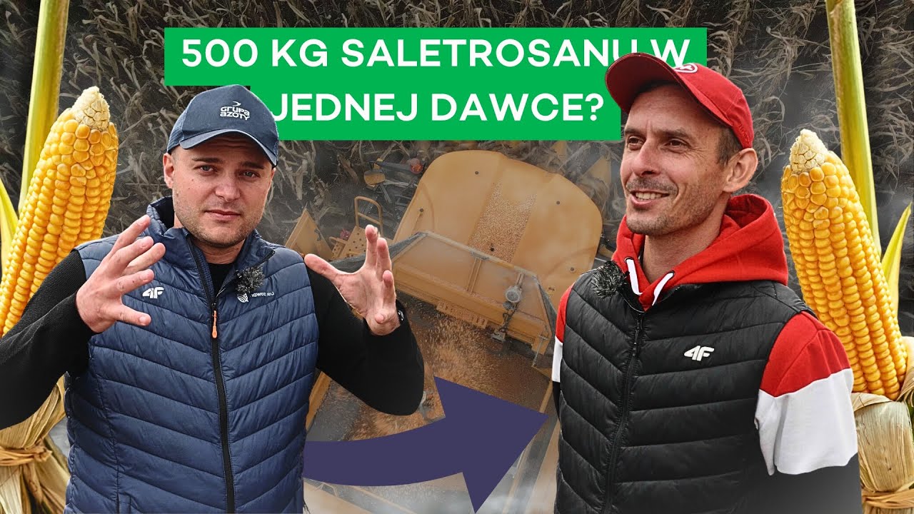SIARKA OBNIŻA WILGOTNOŚĆ KUKURYDZY? MA 26 ODMIAN NA SWOICH POLACH! - #320 nawozy nonstop