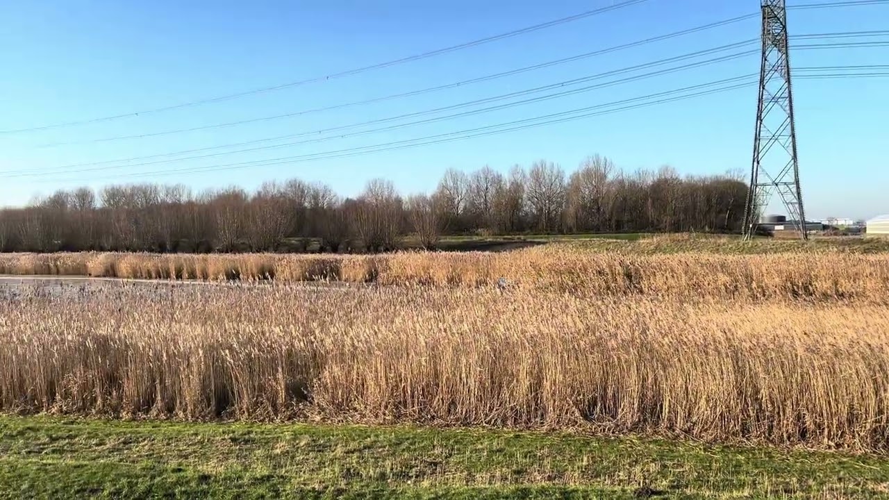 Schaatsen op natuurijs Westland 26/12/25