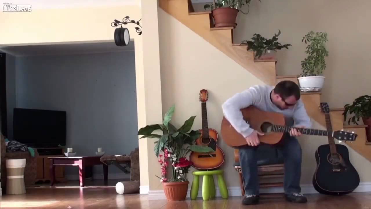 Guitar Cat Karma