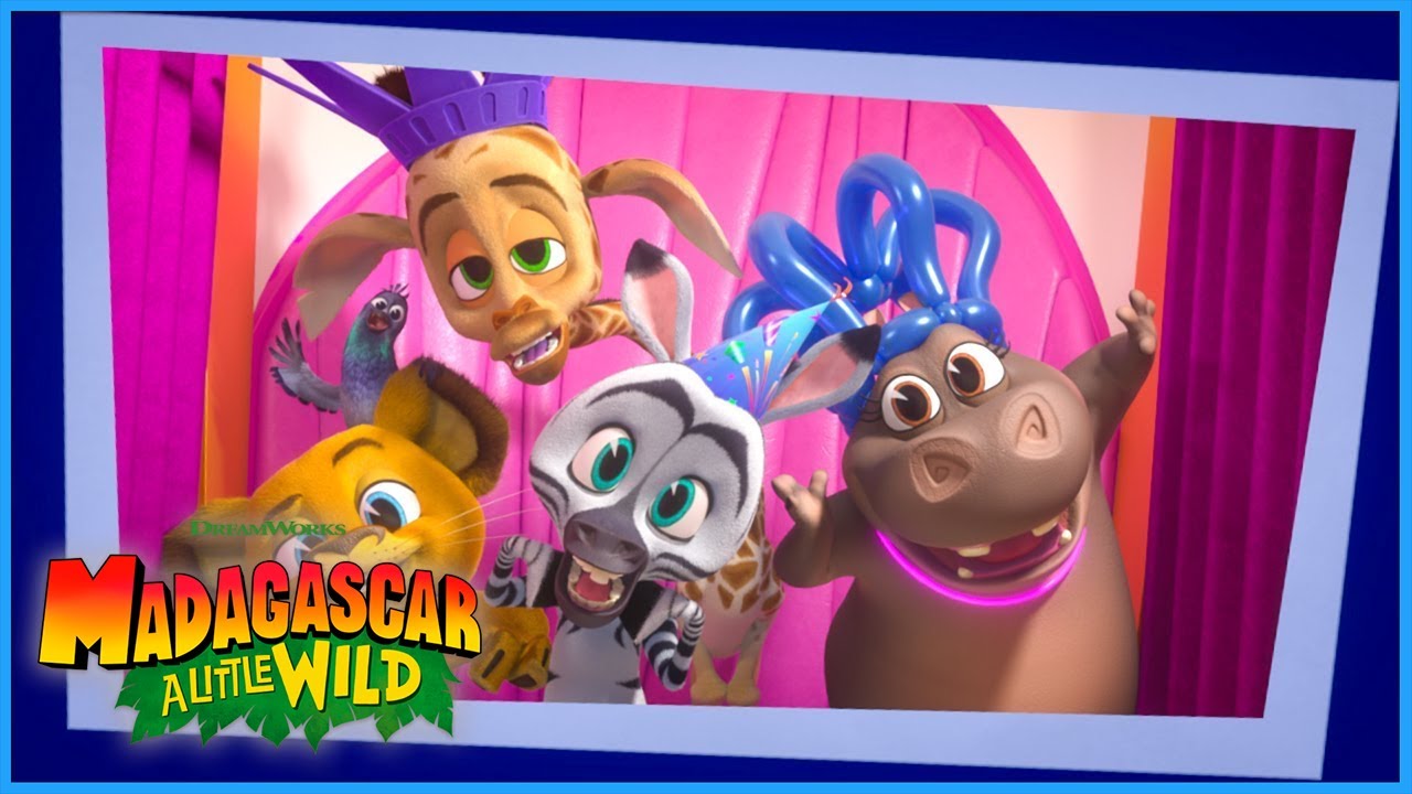 It's Holiday Season! 🎉 | A Little Wild | DreamWorks Madagascar