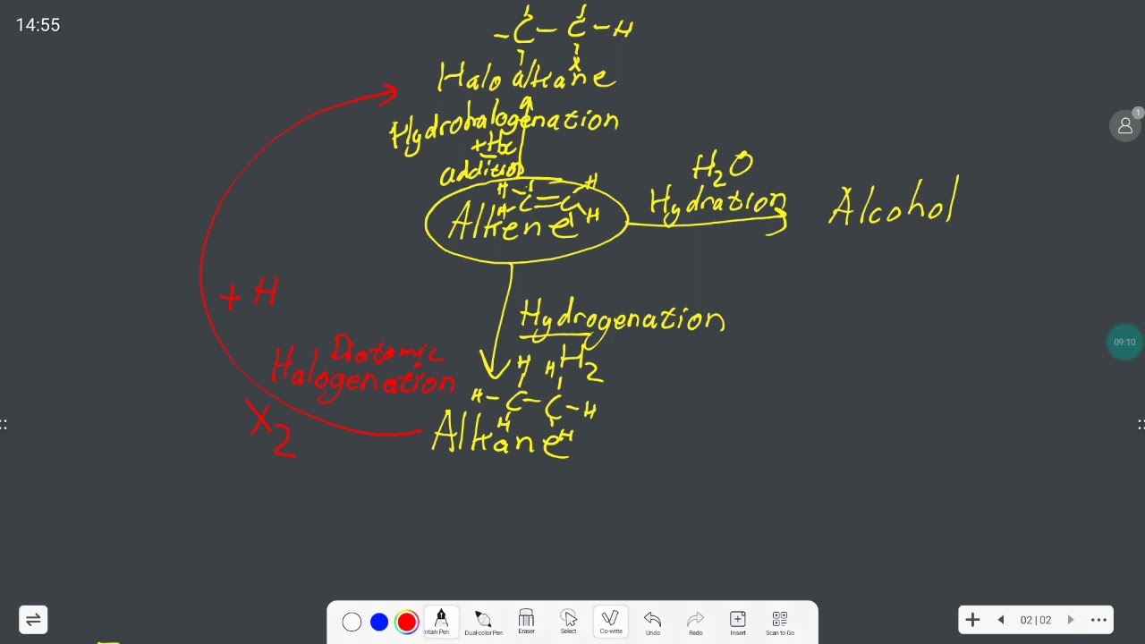 Organic Reactions Grade 12