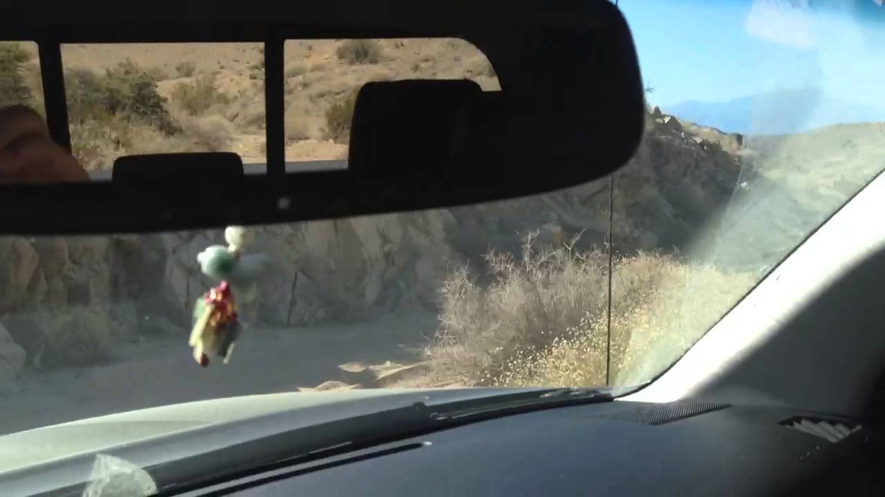 Pinkham Canyon- Joshua Tree