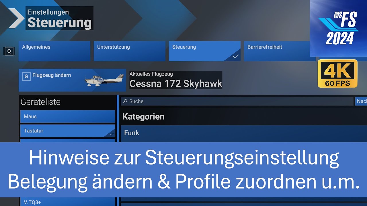Hinweise zur Steuerungseinstellung | MSFS 2024