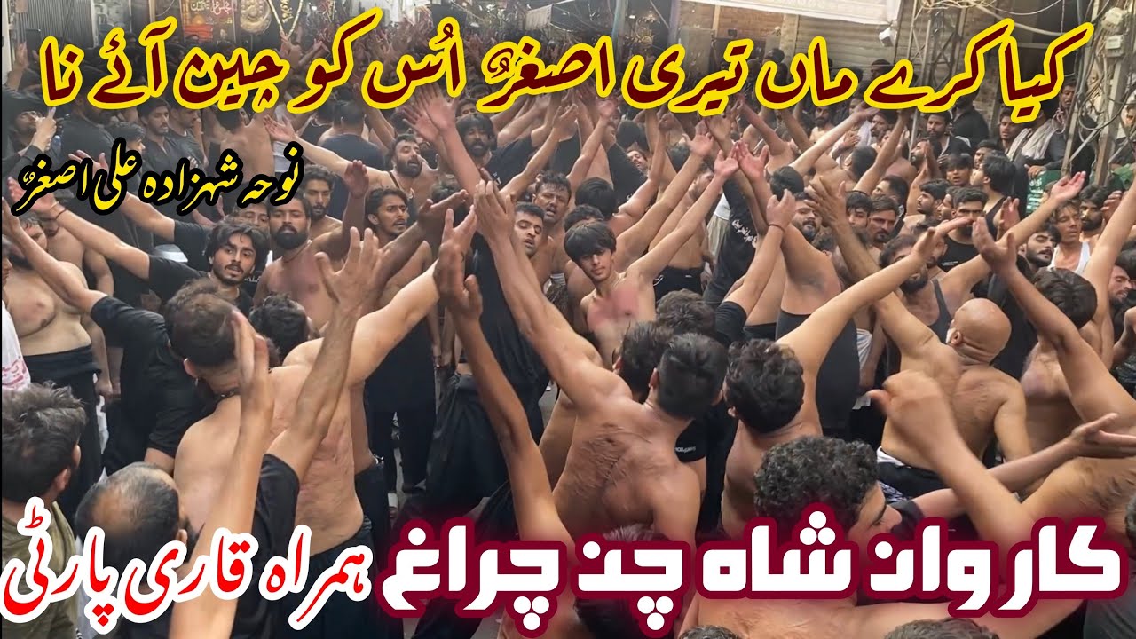 Noha Shehzada Ali Asghar (as)|Kya karay maa teri Asghar (as)| Karwan e Shah chan charagh|Qari Party|