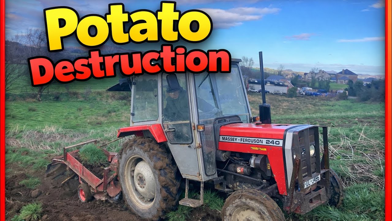 Harvesting Potatoes the Highs and Lows 