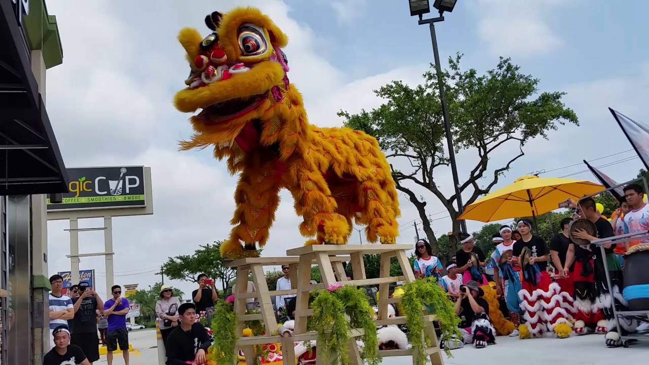 Lion Dance Bench Routine - Rising Phoenix Lion Dance Association TX