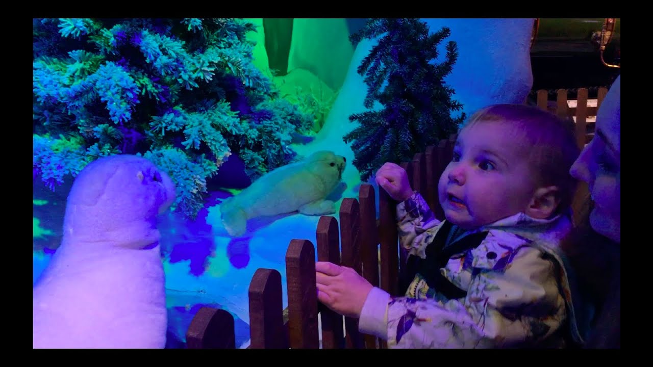 MAGICAL CHRISTMAS DAY AT THURSFORD | MEET SANTA