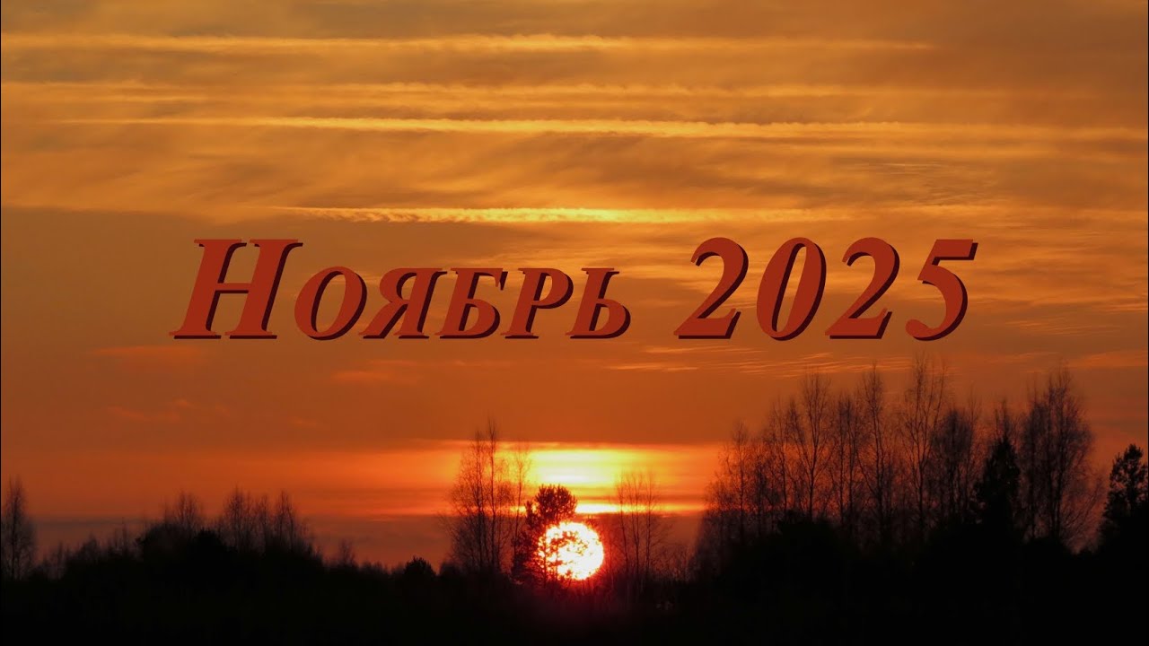 Ноябрь 2025 в рязанской Мещере