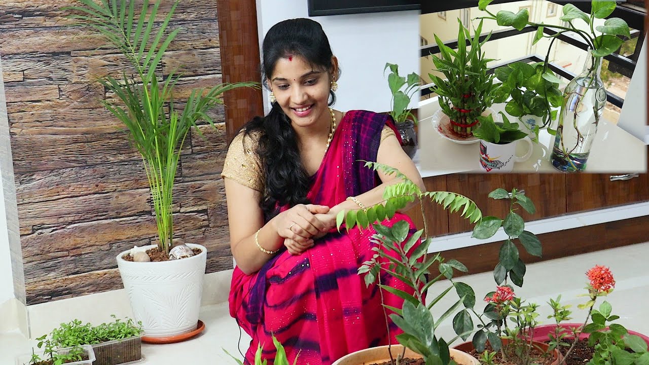 Balconyలోకి వచ్చిన కొత్త మొక్కలు🥰😍How To Prepare Potting Soil👍How To Grow Money Plant In Water👌👌