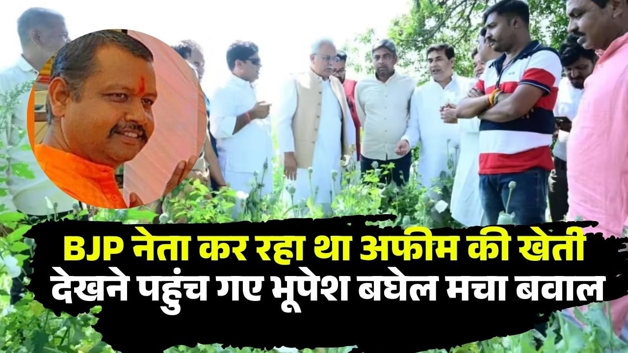 दुर्ग में भाजपा नेता की अफीम की खेती की पूरी खबर । Durg Opium Case Full Story