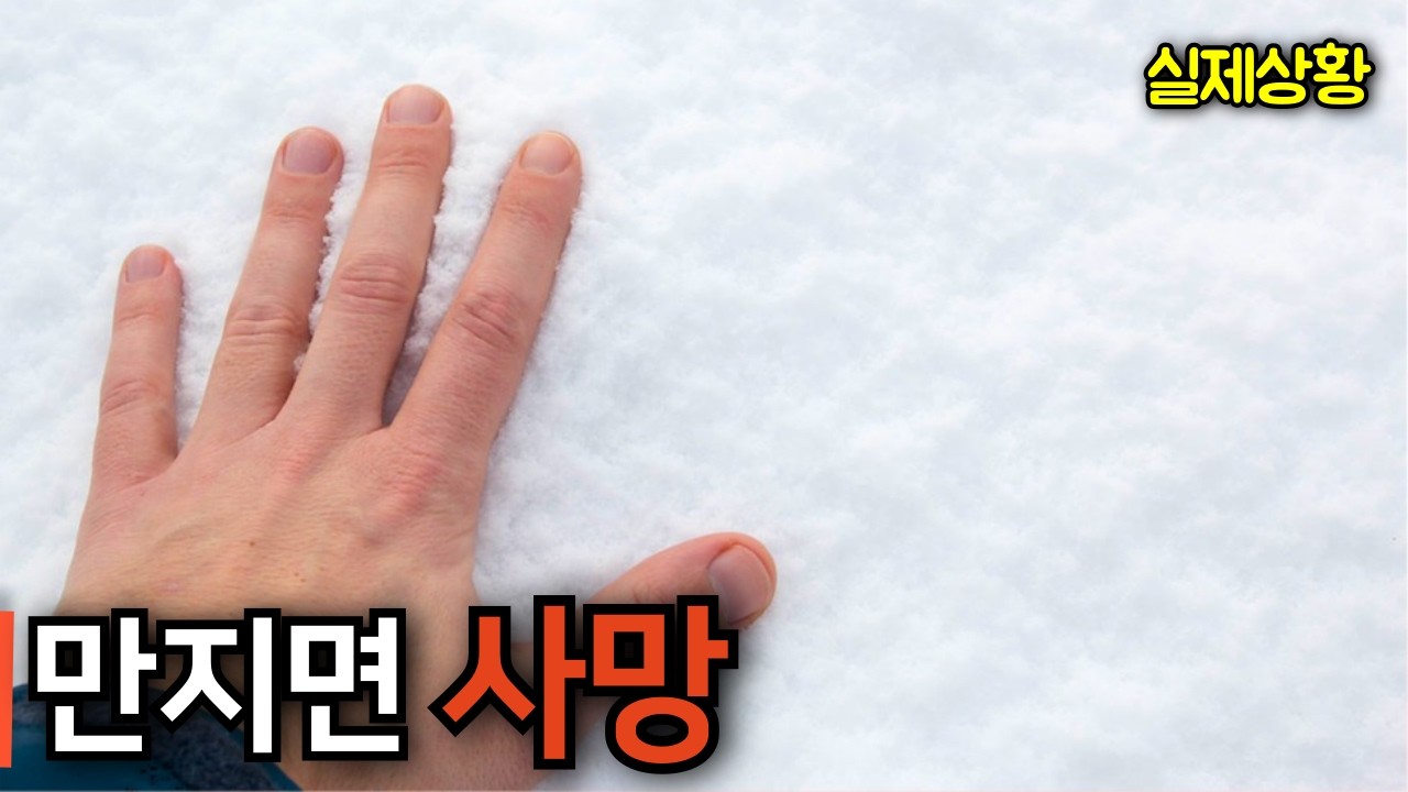 '눈' 인줄 알았는데.......