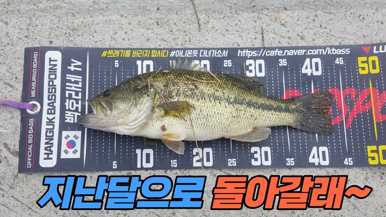 늦가을의 배스가 그립네요~ 지난 장흥 조행기 마지막~!!