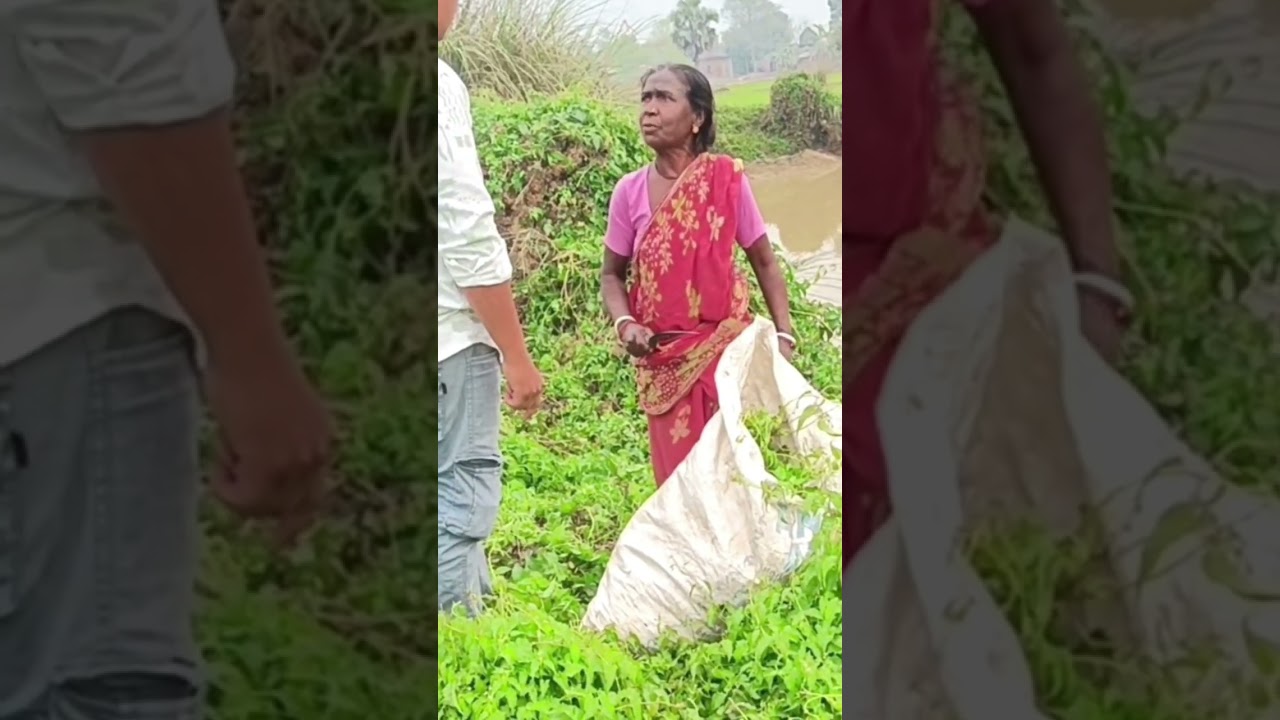 বন্ধুরা, আজকে কাকিমারে বিশ্বাস করামু— গাছেও সিম লাগে! গাছ না হলে নাকি অক্সিজেন আসে না! 😌🌳#comedyfilm