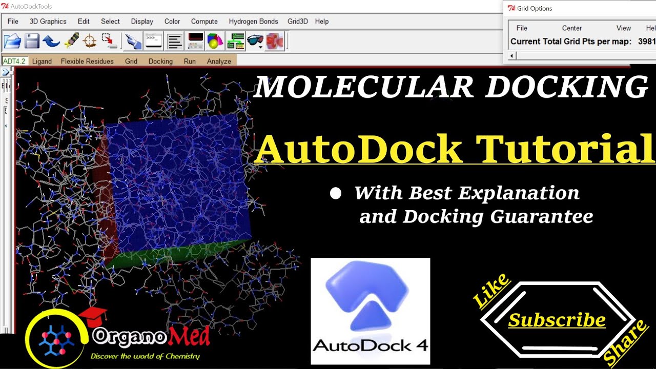 AutoDock Tutorial || Molecular Docking || Best and Easy Way ||