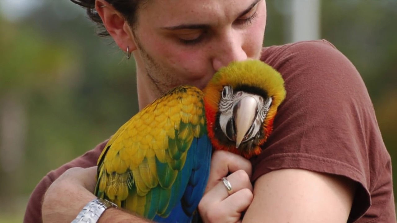What a HORMONAL BIRD Looks Like!!
