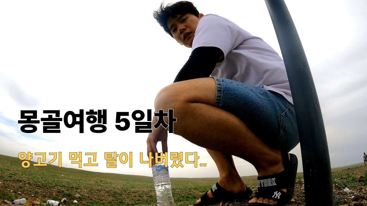 몽골여행 동행 양고기 먹고 탈이 나버렸다.. #몽골여행 #몽골여행후기 #몽골동행