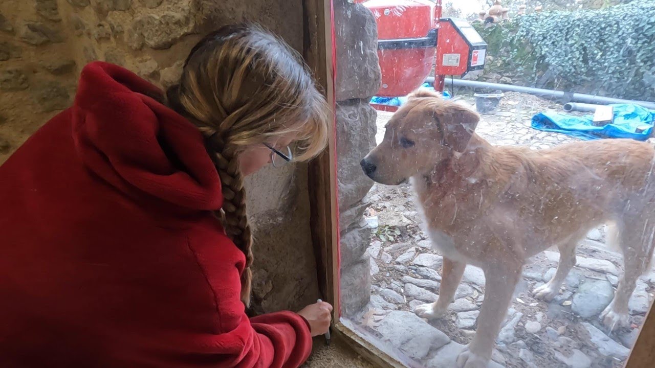 172.  Window DRESSING under SUPERVISION!