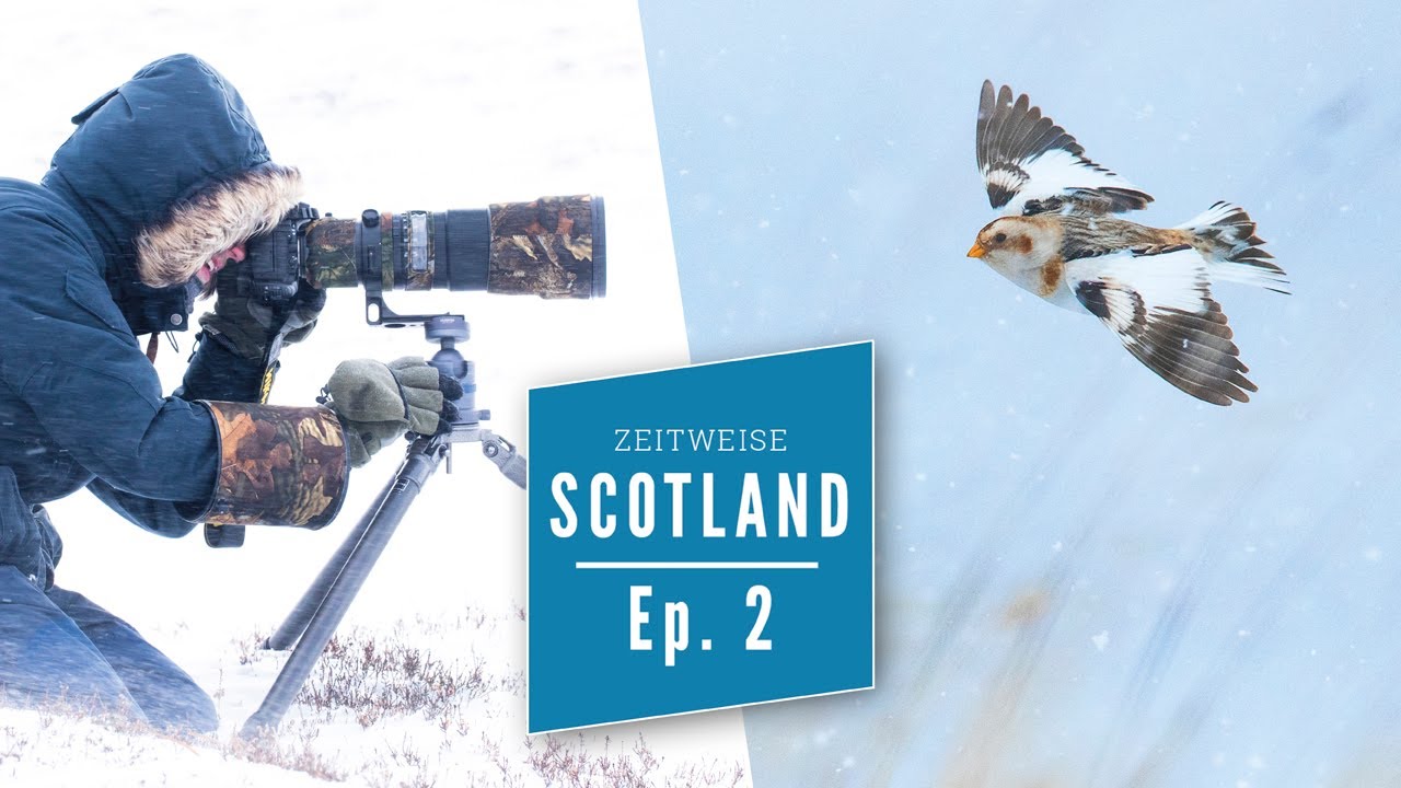 BIRD PHOTOGRAPHY in Scotland | Wildlife Photography behind the scenes Ep. 2