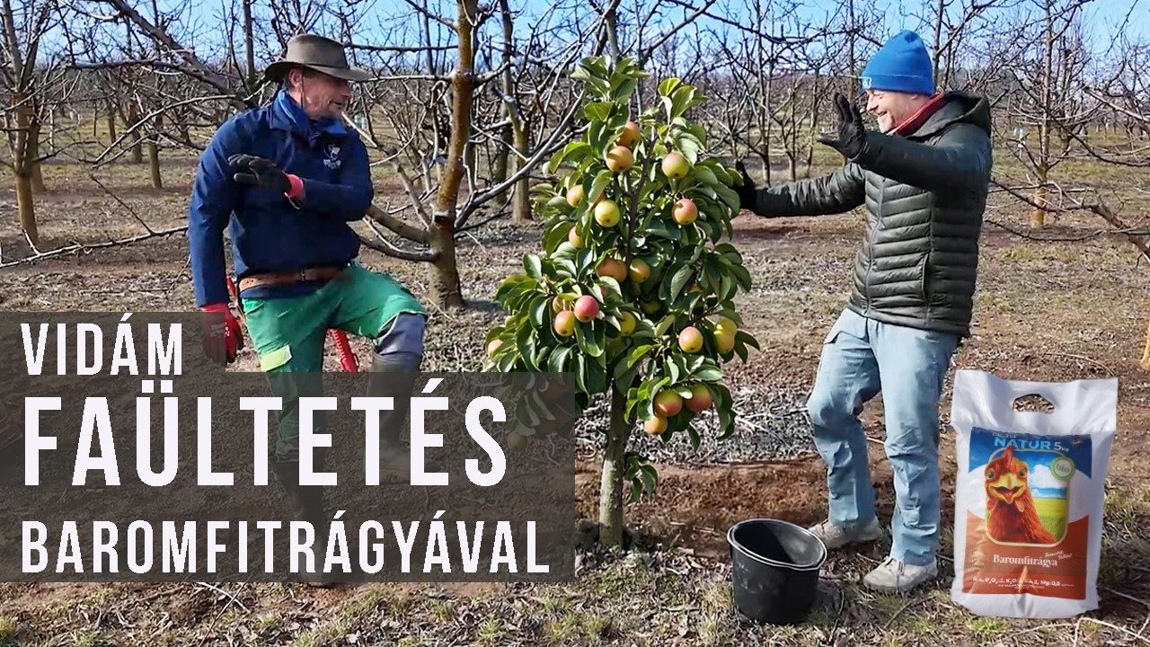 Vid&aacute;m gy&uuml;m&ouml;lcsfa&uuml;ltet&eacute;s - term&eacute;szetesen szervestr&aacute;gy&aacute;val | kert TV